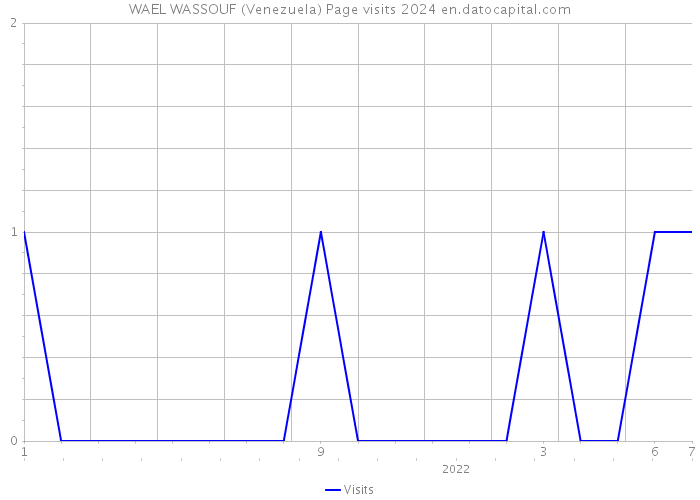 WAEL WASSOUF (Venezuela) Page visits 2024 