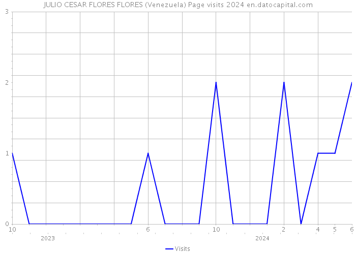 JULIO CESAR FLORES FLORES (Venezuela) Page visits 2024 