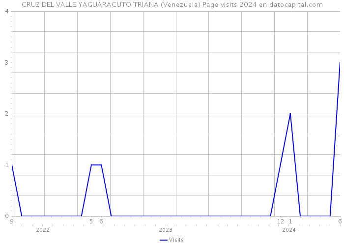 CRUZ DEL VALLE YAGUARACUTO TRIANA (Venezuela) Page visits 2024 