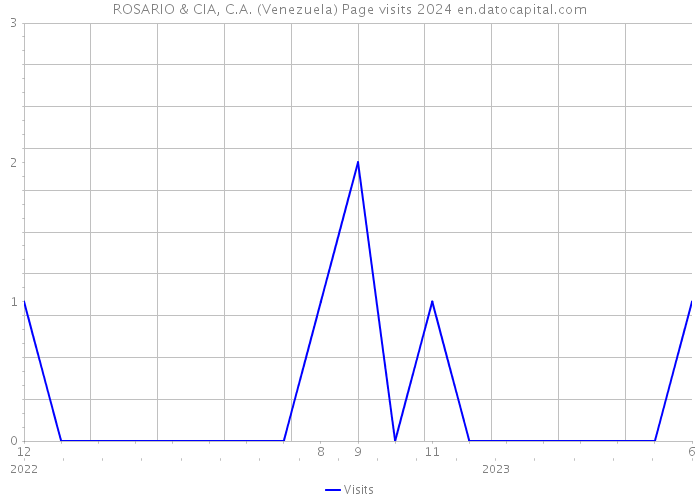 ROSARIO & CIA, C.A. (Venezuela) Page visits 2024 