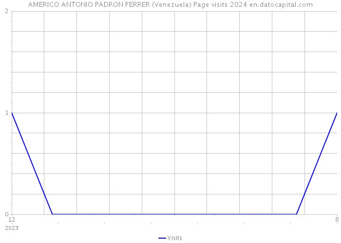 AMERICO ANTONIO PADRON FERRER (Venezuela) Page visits 2024 