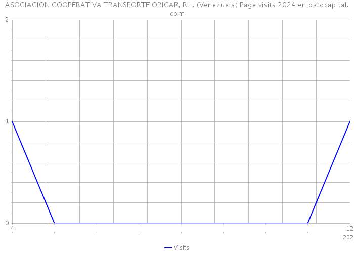 ASOCIACION COOPERATIVA TRANSPORTE ORICAR, R.L. (Venezuela) Page visits 2024 