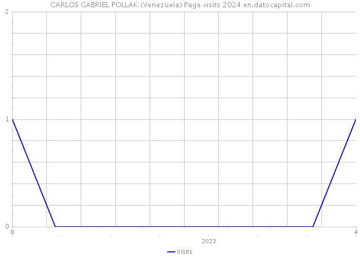 CARLOS GABRIEL POLLAK (Venezuela) Page visits 2024 