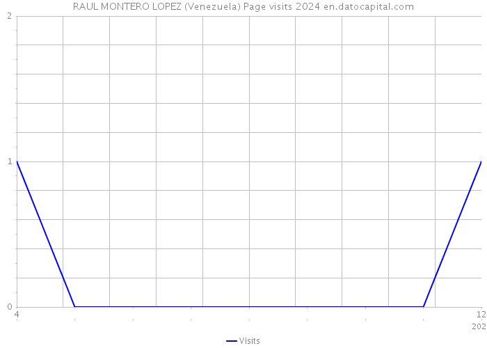RAUL MONTERO LOPEZ (Venezuela) Page visits 2024 