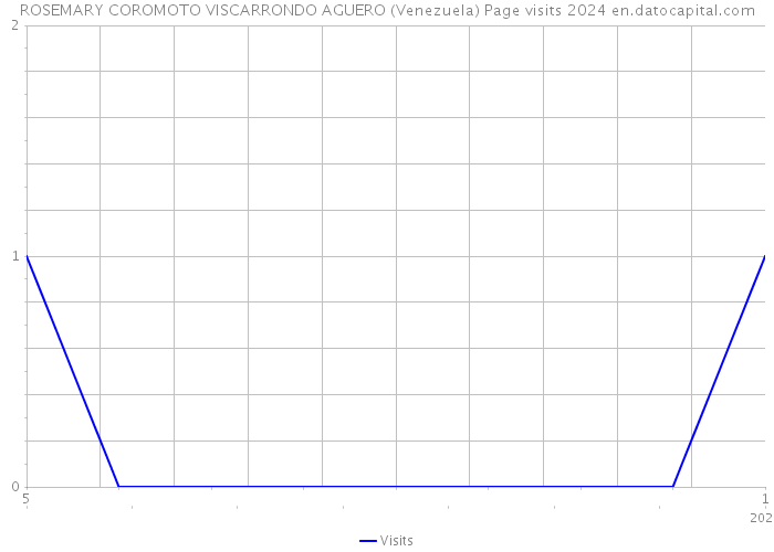 ROSEMARY COROMOTO VISCARRONDO AGUERO (Venezuela) Page visits 2024 