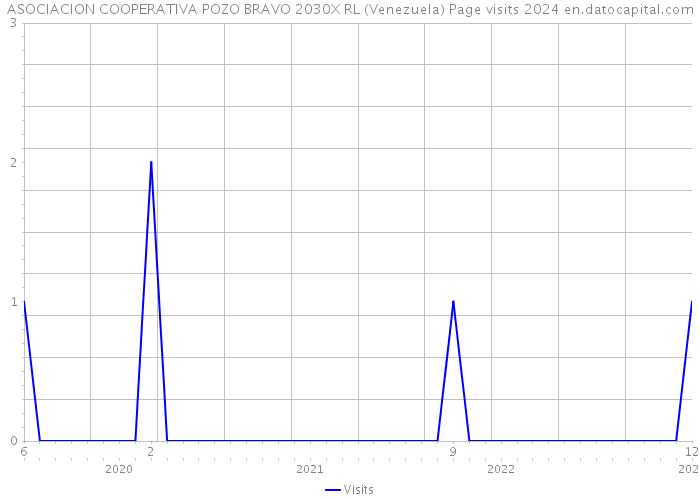 ASOCIACION COOPERATIVA POZO BRAVO 2030X RL (Venezuela) Page visits 2024 