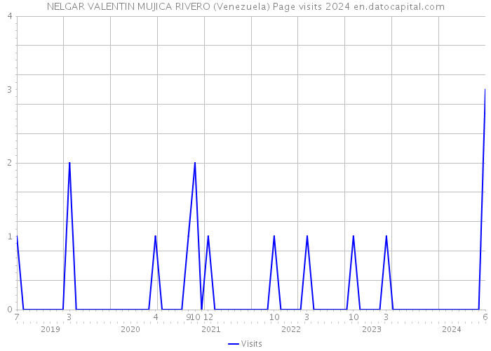 NELGAR VALENTIN MUJICA RIVERO (Venezuela) Page visits 2024 