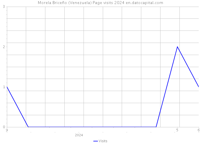 Morela Briceño (Venezuela) Page visits 2024 