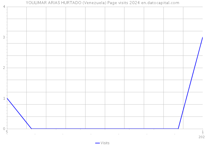 YOULIMAR ARIAS HURTADO (Venezuela) Page visits 2024 