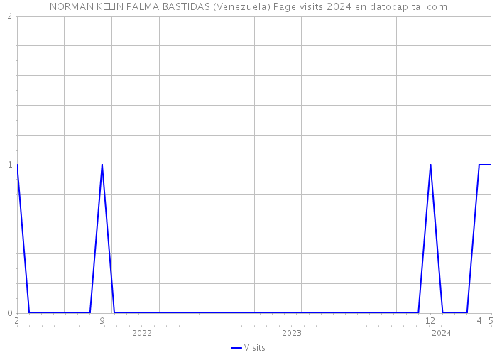 NORMAN KELIN PALMA BASTIDAS (Venezuela) Page visits 2024 