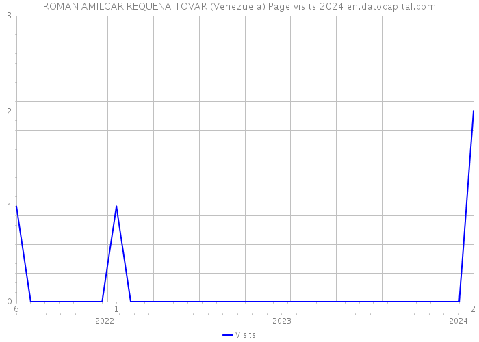 ROMAN AMILCAR REQUENA TOVAR (Venezuela) Page visits 2024 