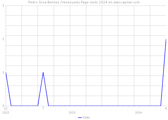 Pedro Sosa Benitez (Venezuela) Page visits 2024 
