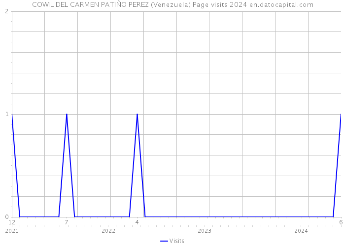 COWIL DEL CARMEN PATIÑO PEREZ (Venezuela) Page visits 2024 
