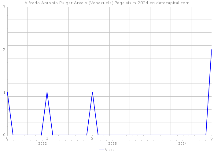 Alfredo Antonio Pulgar Arvelo (Venezuela) Page visits 2024 