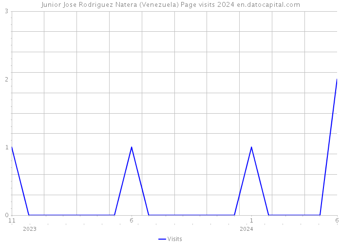 Junior Jose Rodriguez Natera (Venezuela) Page visits 2024 