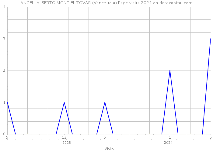 ANGEL ALBERTO MONTIEL TOVAR (Venezuela) Page visits 2024 