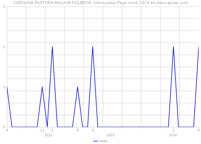 CAROLINA PASTORA MALAVE FIGUEROA (Venezuela) Page visits 2024 