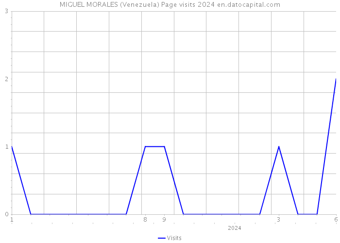 MIGUEL MORALES (Venezuela) Page visits 2024 