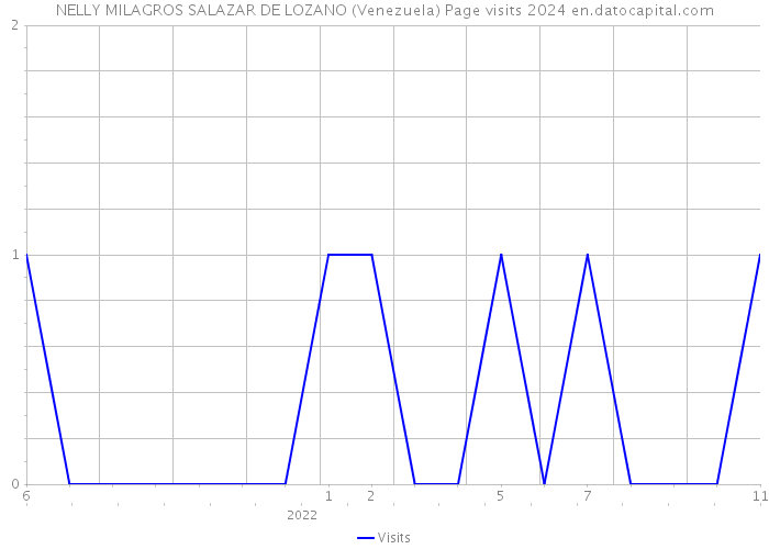 NELLY MILAGROS SALAZAR DE LOZANO (Venezuela) Page visits 2024 