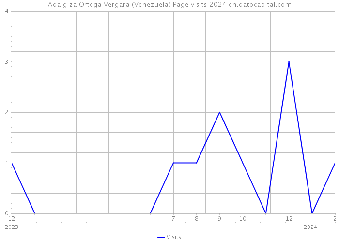 Adalgiza Ortega Vergara (Venezuela) Page visits 2024 