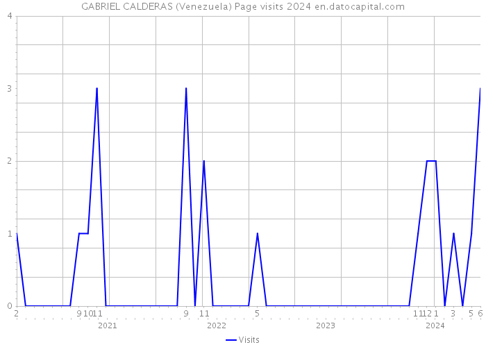 GABRIEL CALDERAS (Venezuela) Page visits 2024 
