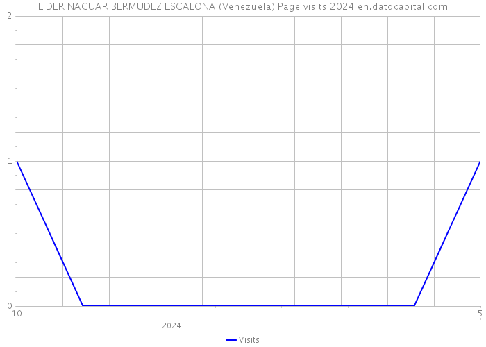 LIDER NAGUAR BERMUDEZ ESCALONA (Venezuela) Page visits 2024 