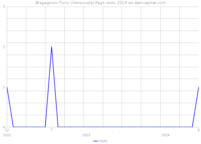 Bragagnolo Furio (Venezuela) Page visits 2024 