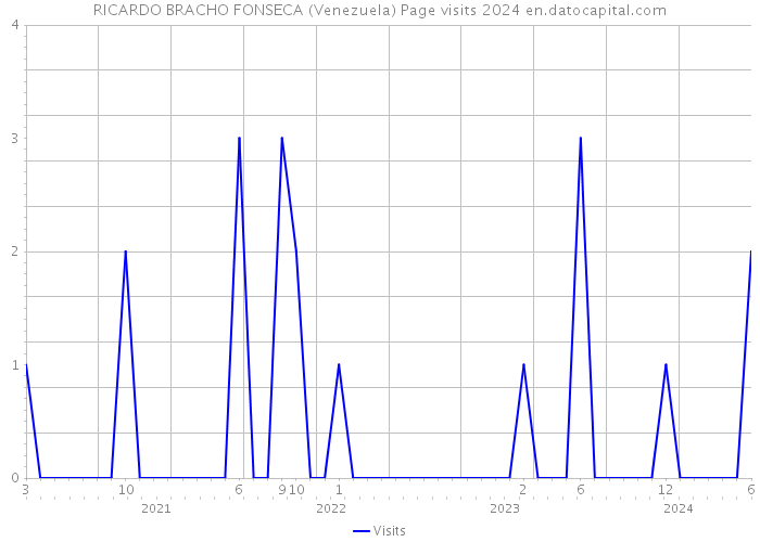 RICARDO BRACHO FONSECA (Venezuela) Page visits 2024 