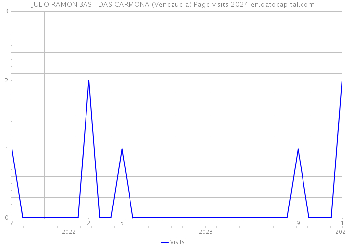 JULIO RAMON BASTIDAS CARMONA (Venezuela) Page visits 2024 