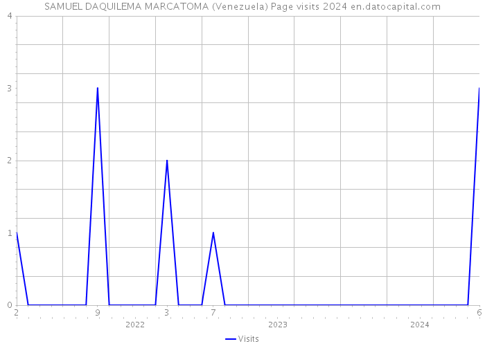 SAMUEL DAQUILEMA MARCATOMA (Venezuela) Page visits 2024 
