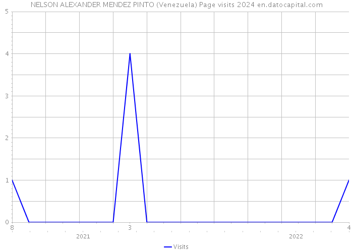 NELSON ALEXANDER MENDEZ PINTO (Venezuela) Page visits 2024 