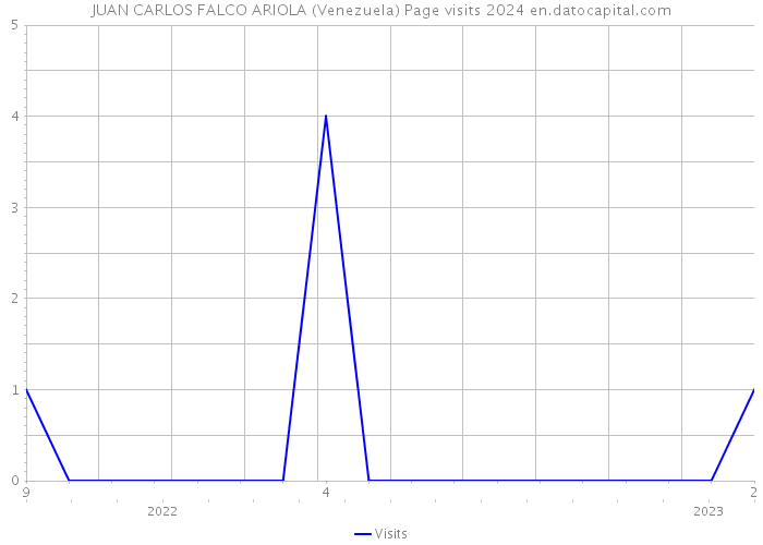 JUAN CARLOS FALCO ARIOLA (Venezuela) Page visits 2024 
