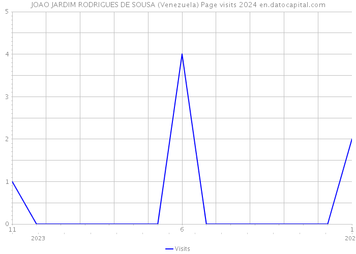 JOAO JARDIM RODRIGUES DE SOUSA (Venezuela) Page visits 2024 