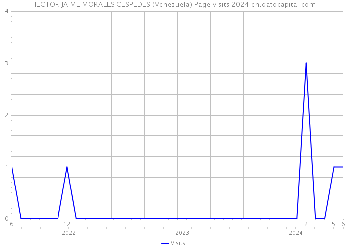 HECTOR JAIME MORALES CESPEDES (Venezuela) Page visits 2024 