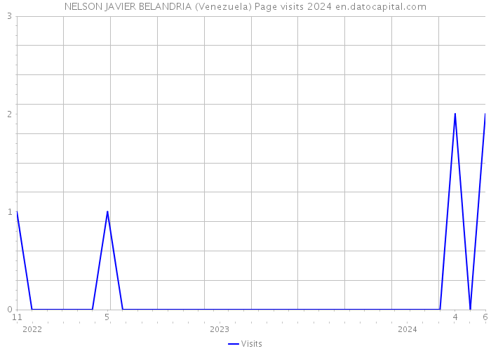 NELSON JAVIER BELANDRIA (Venezuela) Page visits 2024 
