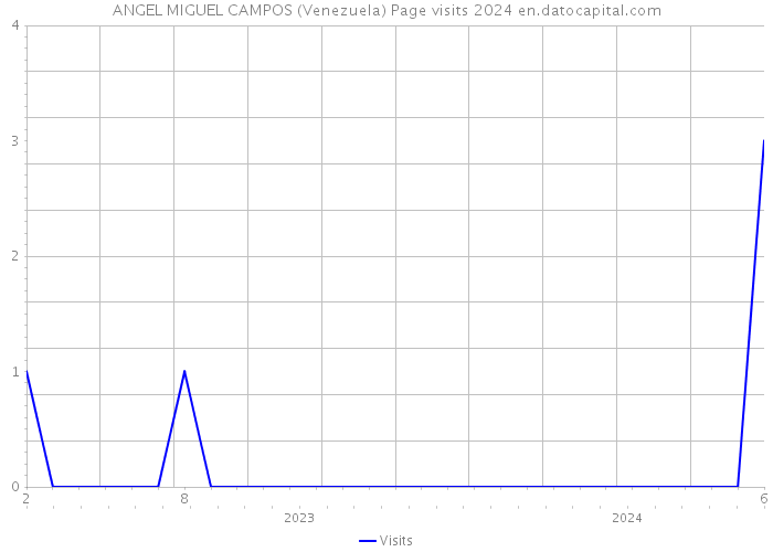 ANGEL MIGUEL CAMPOS (Venezuela) Page visits 2024 