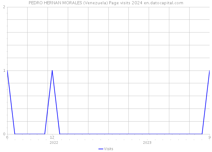 PEDRO HERNAN MORALES (Venezuela) Page visits 2024 