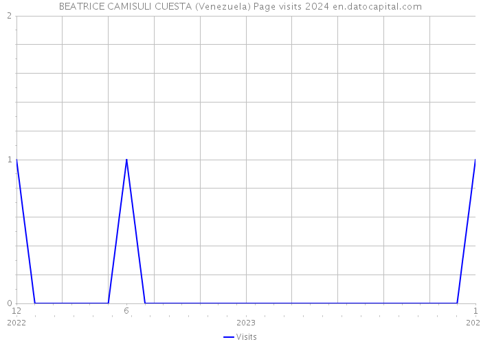 BEATRICE CAMISULI CUESTA (Venezuela) Page visits 2024 