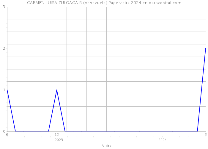 CARMEN LUISA ZULOAGA R (Venezuela) Page visits 2024 