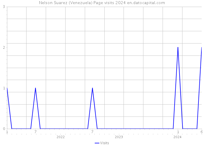 Nelson Suarez (Venezuela) Page visits 2024 