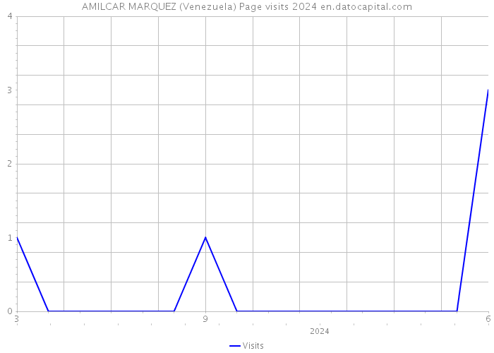 AMILCAR MARQUEZ (Venezuela) Page visits 2024 