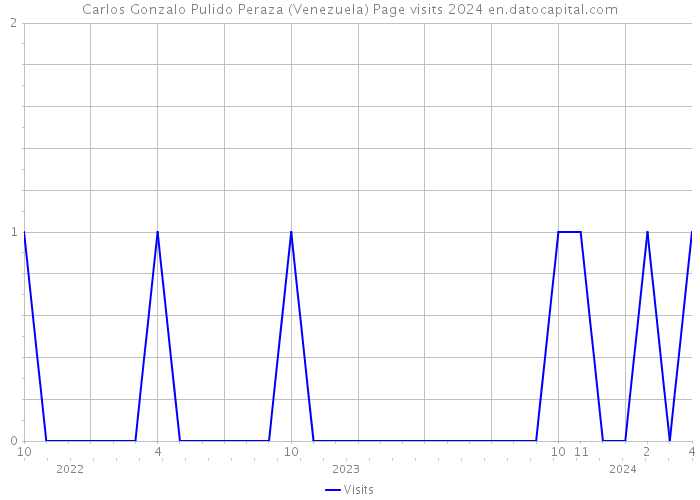 Carlos Gonzalo Pulido Peraza (Venezuela) Page visits 2024 