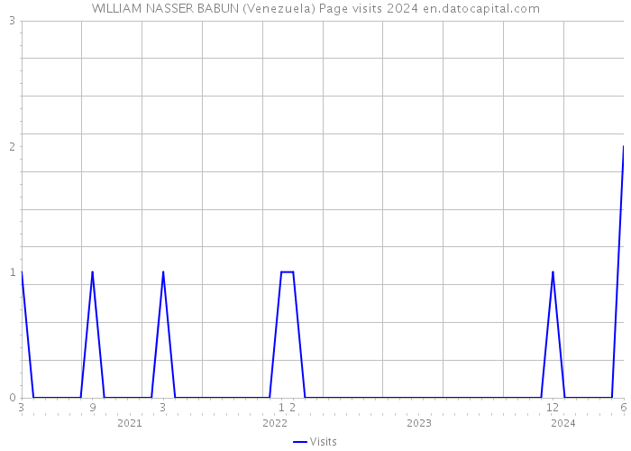 WILLIAM NASSER BABUN (Venezuela) Page visits 2024 
