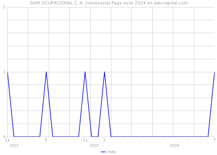 SAMI OCUPACIONAL C. A. (Venezuela) Page visits 2024 