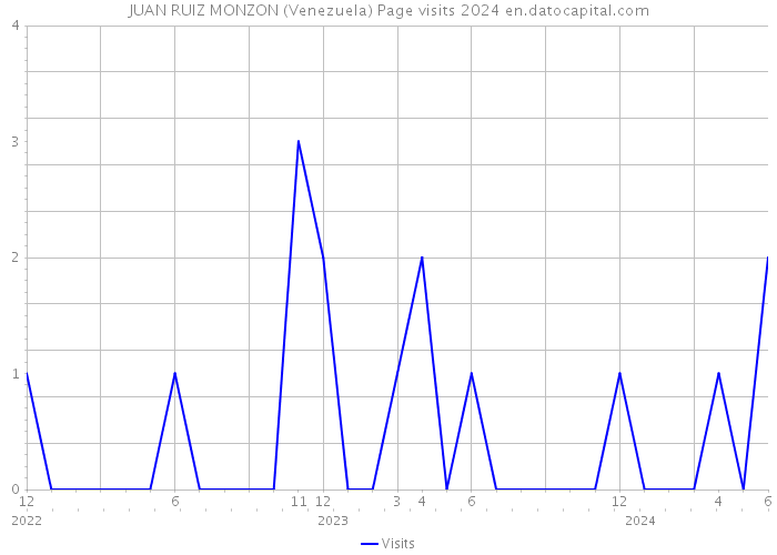 JUAN RUIZ MONZON (Venezuela) Page visits 2024 