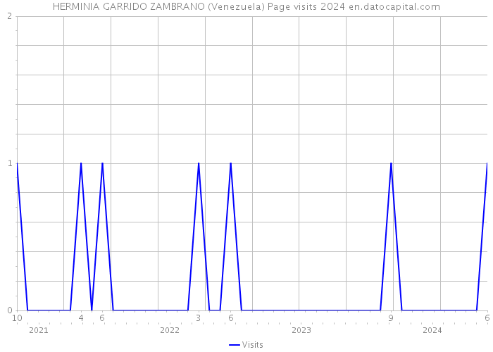 HERMINIA GARRIDO ZAMBRANO (Venezuela) Page visits 2024 