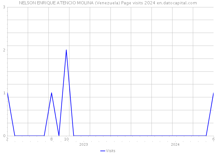 NELSON ENRIQUE ATENCIO MOLINA (Venezuela) Page visits 2024 