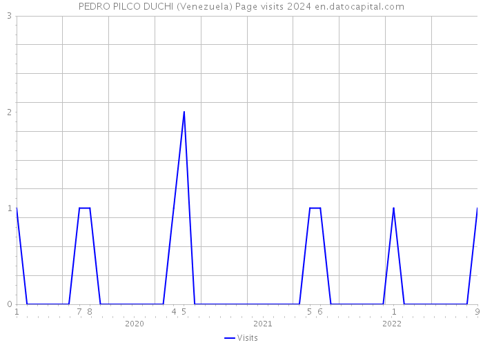 PEDRO PILCO DUCHI (Venezuela) Page visits 2024 
