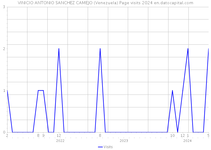 VINICIO ANTONIO SANCHEZ CAMEJO (Venezuela) Page visits 2024 