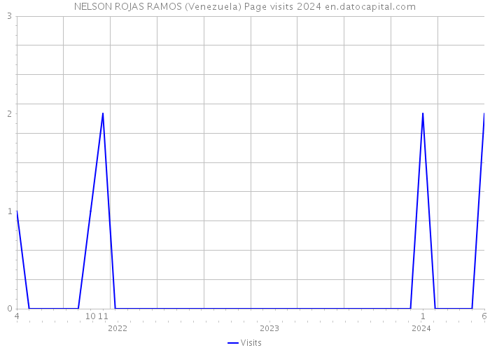 NELSON ROJAS RAMOS (Venezuela) Page visits 2024 